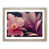 Oak Frame selected