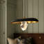 Luminaire suspendu 1 lumière DEL Grigor