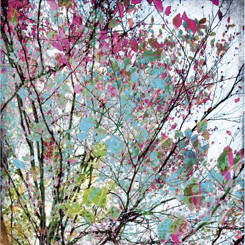 2.8m x 279cm Textured Matt Wall Mural