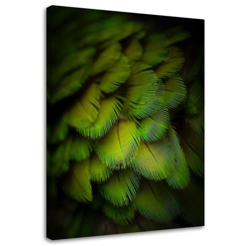 Leinwandbild Feathers Nature Green