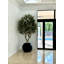 Artificial Olive Tree 30" Globe Planter-445470674