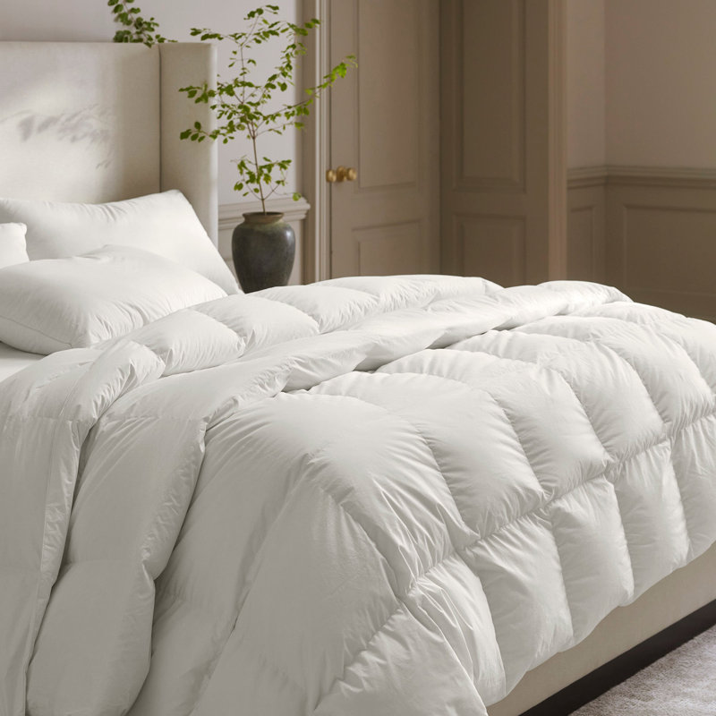 Down Duvet Insert, Queen, All Season