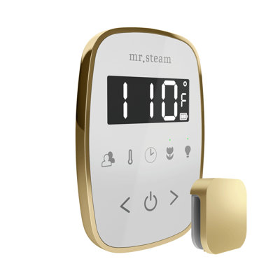 TempoFlex Steam Shower Control and Steamhead