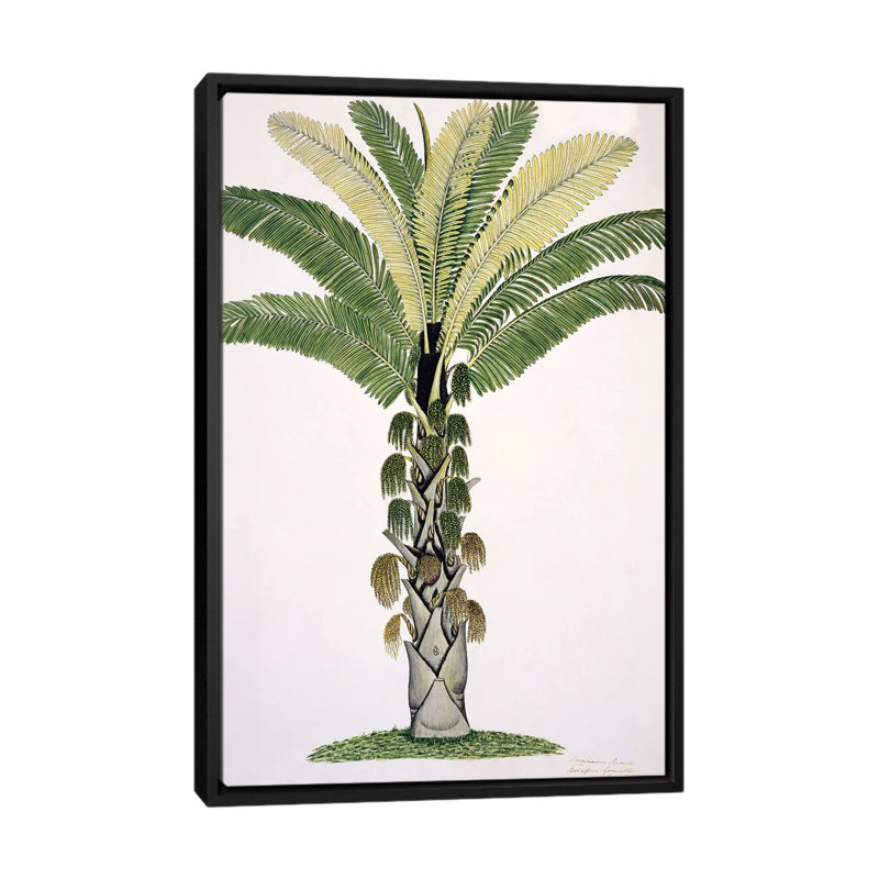 Palmier, œuvre d'art - reproduction d'art murale - toile encadrée, 60" x 40", Framed Canvas, Noir