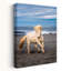 Art sauvage, paysage sauvage-589474707