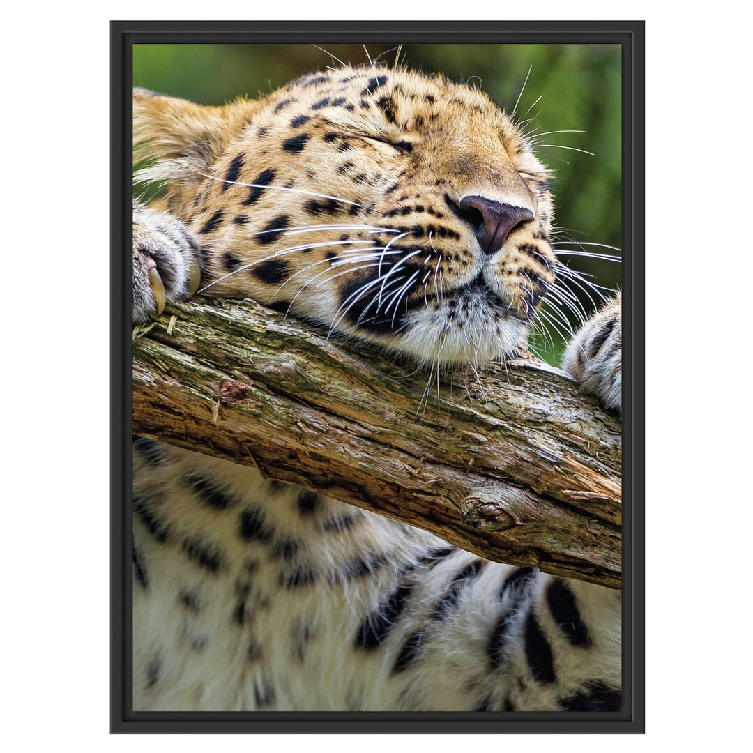 Gerahmtes Wandbild verspielter Leopard