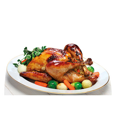 Thanksgiving Turkey Cardboard Standup
