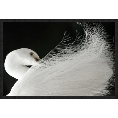 Exquis Egret par Lillian August - photographie encadrée sur papier