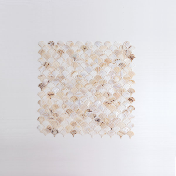 Mother of Pearl 1" x 1" Seashell Fish Scale Mosaic Sheet
