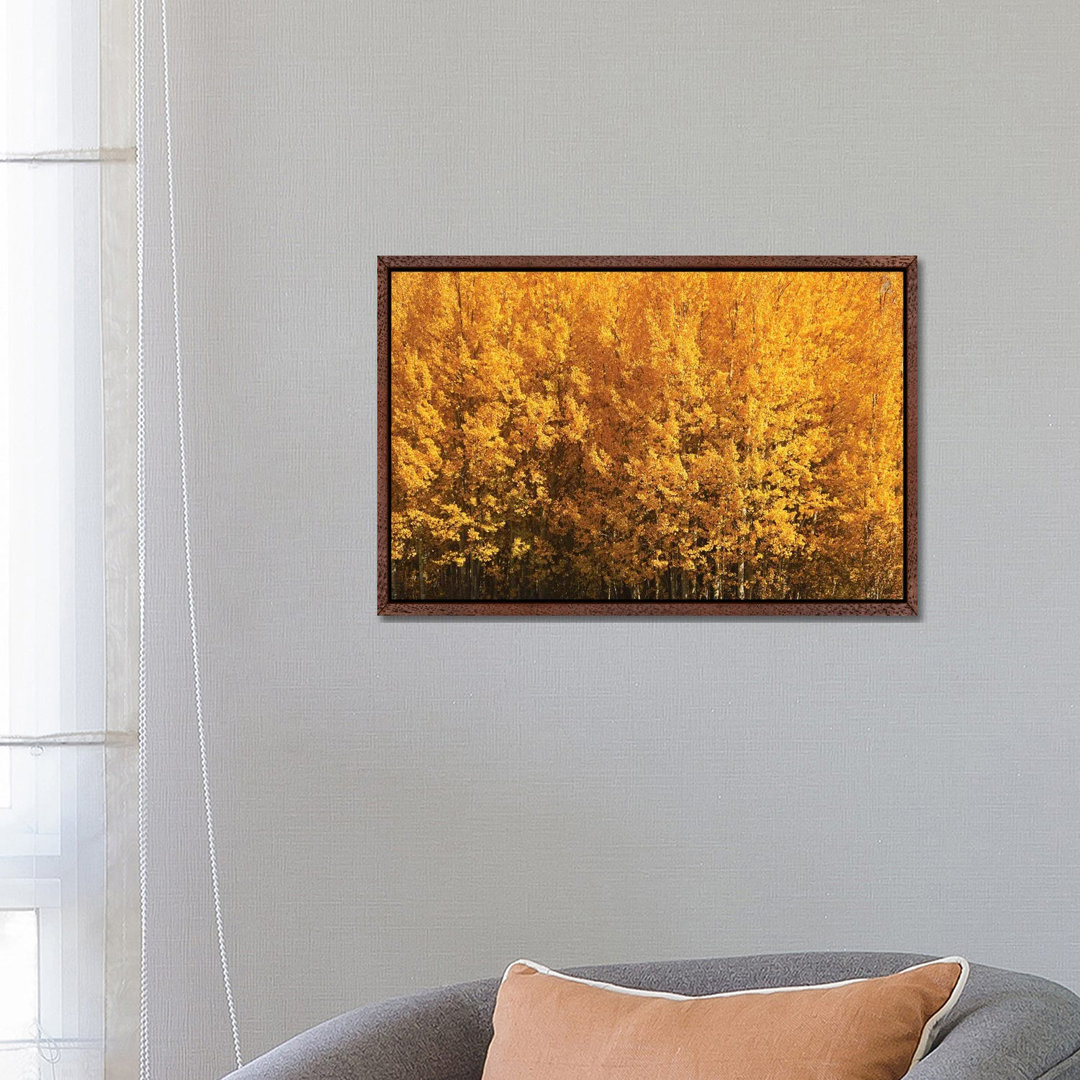 Aspen Gold von Brian Wolf - Galerie-verpackte Leinwand Giclée auf Leinwand