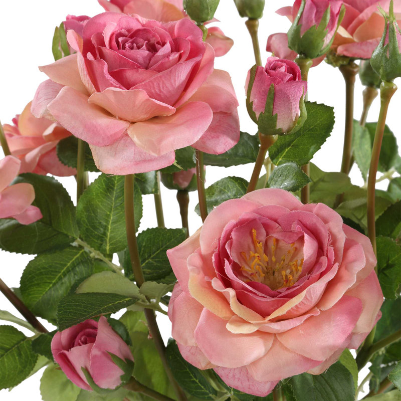 Bouquet de roses «Uttermost Adoration»