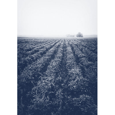 Foggy Farm - Wrapped Canvas Print
