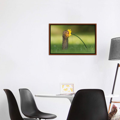 «Smells Like Summer», reproduction de photo encadrée