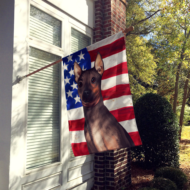 Polyester à 2 côtés 28 x 40 po drapeau maison, Terrier américain sans poil