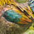 Higgenbotham Animals Weather Resistant Metal Garden Statue