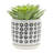 S/2 5/6" AZTEC PLANTER W/ SAUCER, BLACK