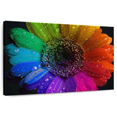 Harnek Rainbow Flower