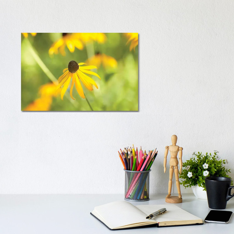 Susan Study I by James McLoughlin - Wrapped Canvas Print, 20.32 cm H x 30.48 cm W