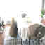 Photos des clients 1 de 1