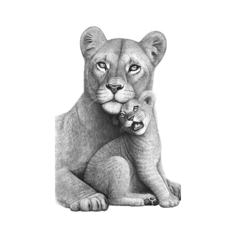 Lioness With A Baby by Valeriya Korenkova - Wrapped Canvas Print, 101.6 cm H x 66.04 cm W