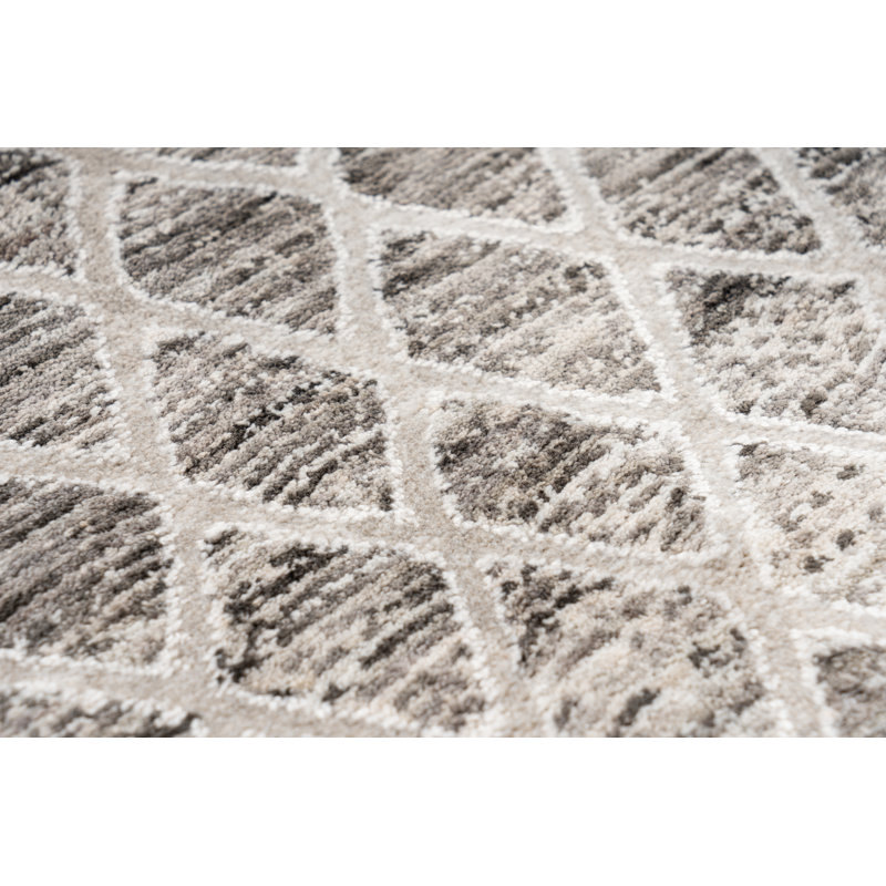 Andeana Chequered Area Rug, Runners 80 x 300 cm