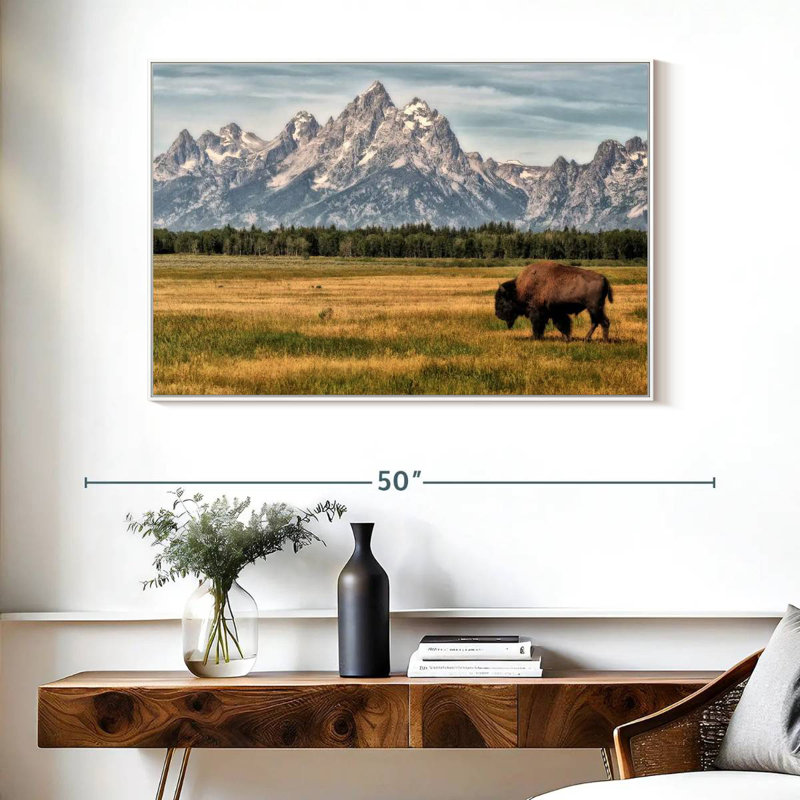 Bull Bison à Grand Teton, Cadre flottant blanc, 40 po x 27 po