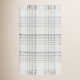 Cay Plaid Handmade Flatweave Recycled P.E.T. Area Rug in Gray/Beige