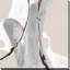 «Touch Of Gray IV» par Chris Paschke-823026977-823026976