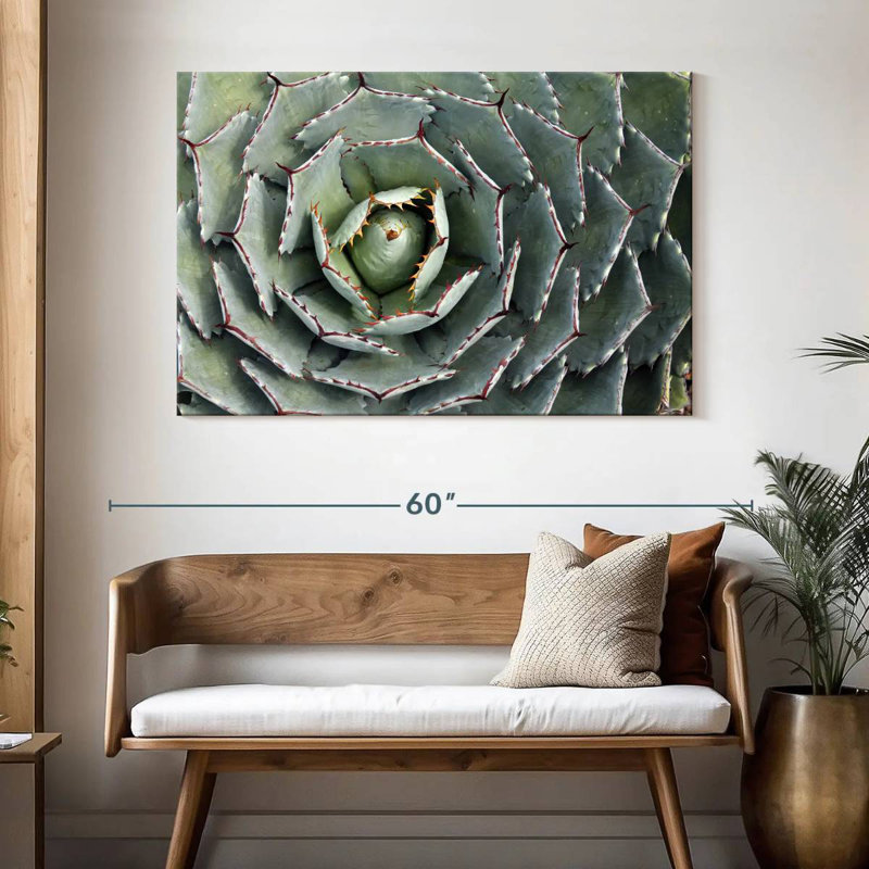 Harnek Thorny Succulent