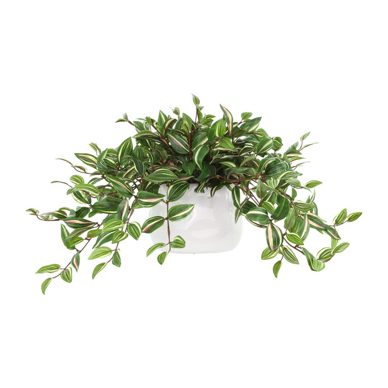 Tradescantia Zebrina Arranged In Ceramic Vase, Green, 14"H x 26"W x 17"D