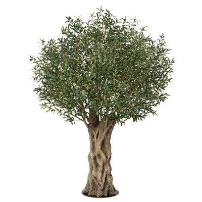Adcock 96" Olive Tree