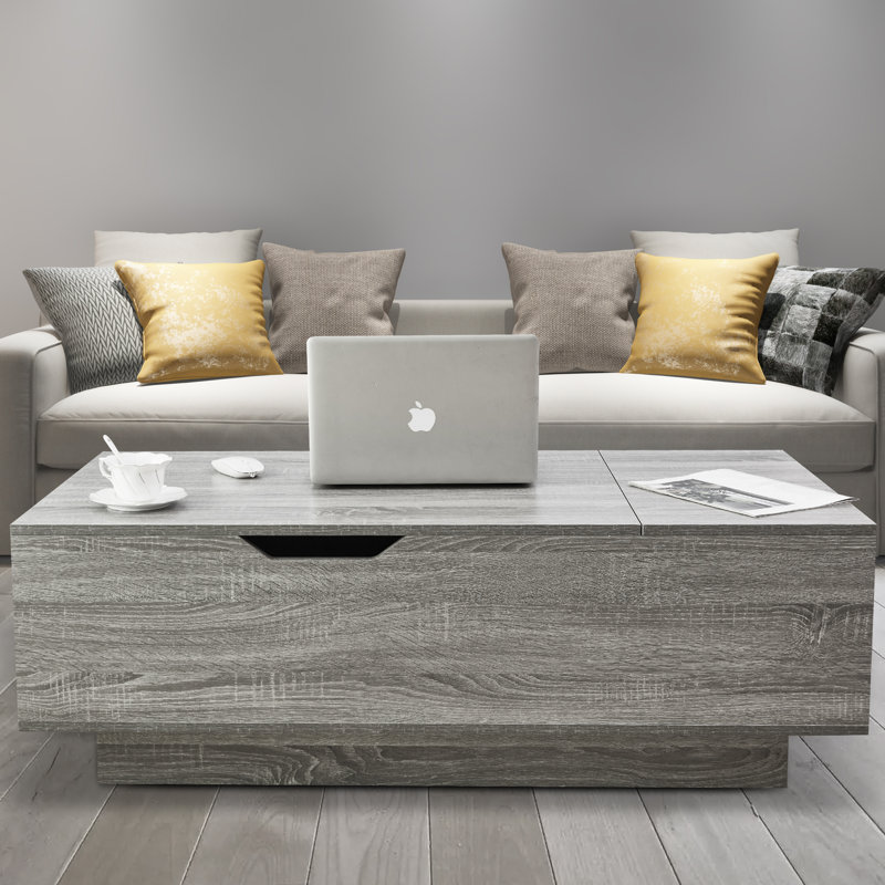 Table basse avec rangement Brynlin, Gris