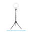 Light Stand Pro Adjustable Tripod Lighting Kit