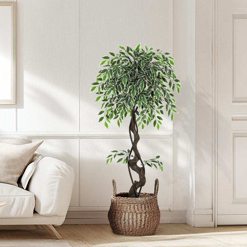 Faux Ficus Tree