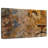 Brampt Barbary Lion-107681448