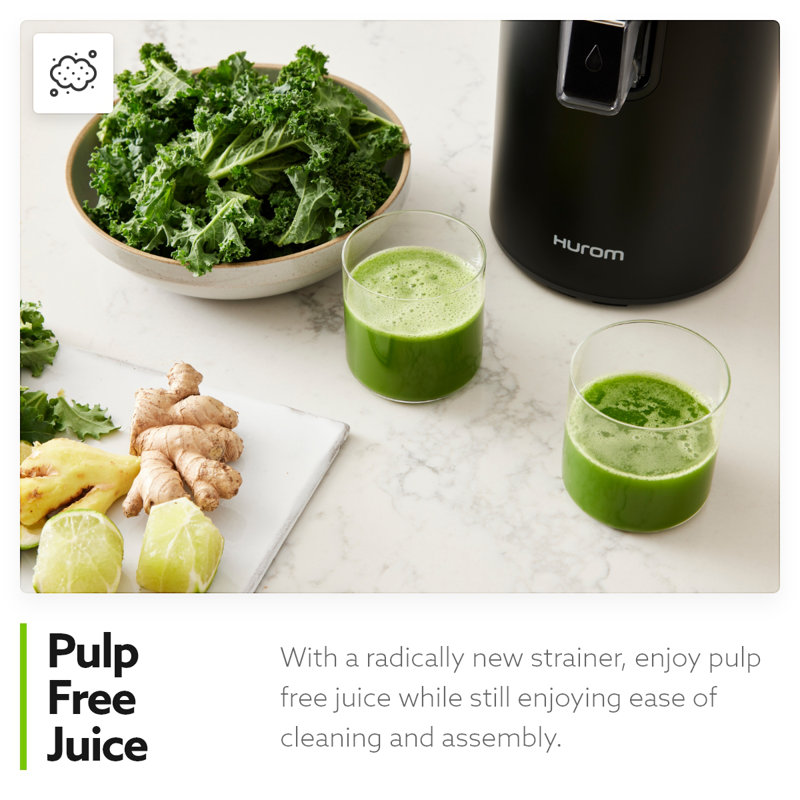 Hurom H400 Two Tone Easy Clean Slow Juicer