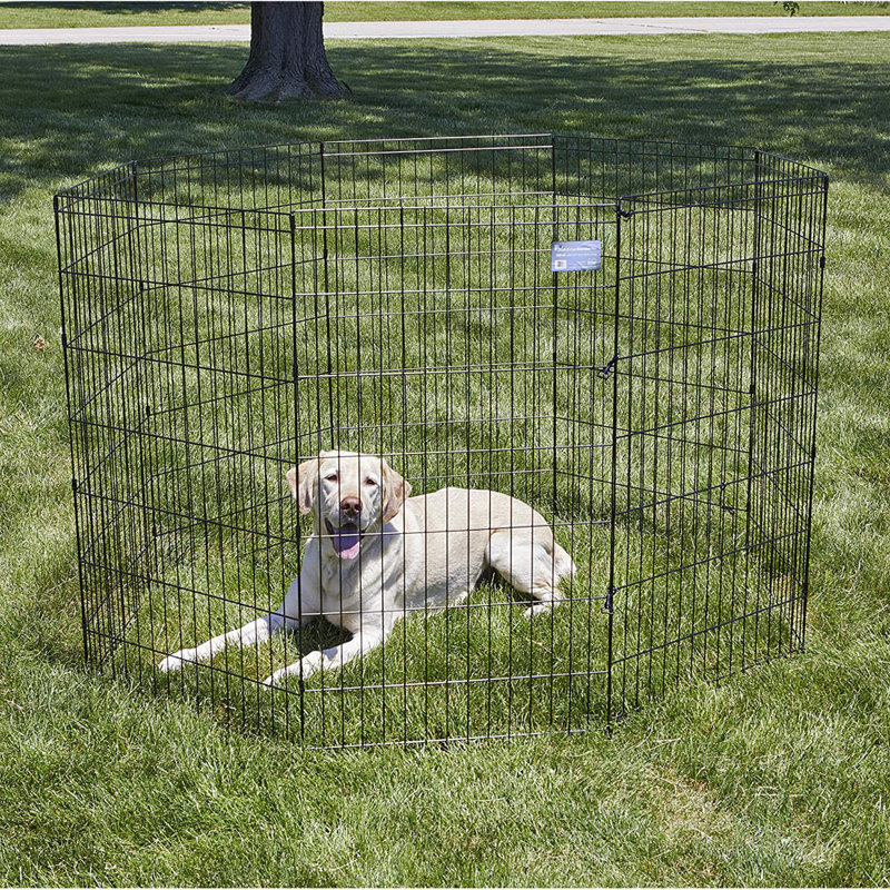 Parc et enclos pliable en métal MidWest Homes for Pet, Très grand (H 48 po x l 24 po)