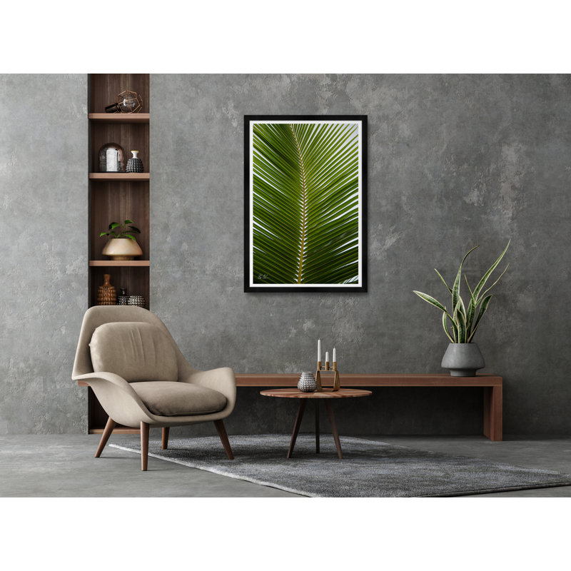 Tropical Palm " Tropical Palm " by Tim Klein