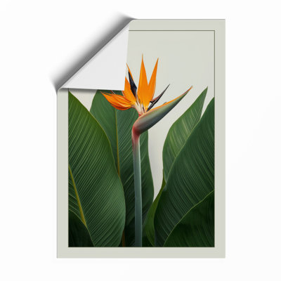 Bird of Paradise Bloom Botanical - Framed Print