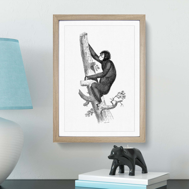 Orangutan in Black and White by George Shaw - Framed Print, 48cm H x 36cm W x 2cm D, Oak Framed