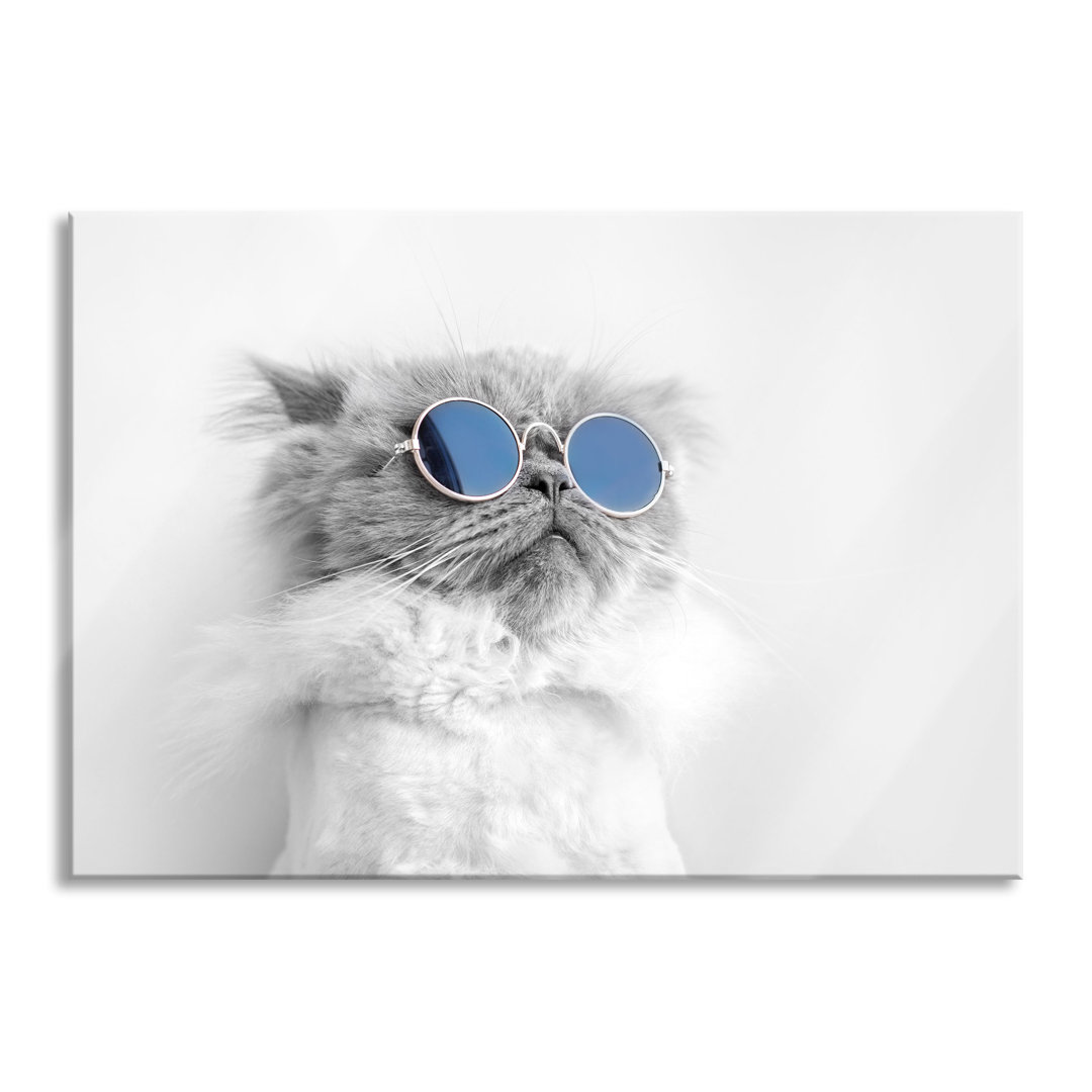 Glasbild Coole Katze mit runder Sonnenbrille