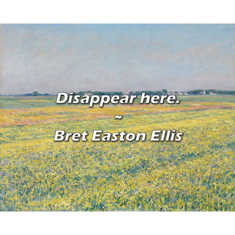 Citation de Bret Easton Ellis: Disappear ici.
