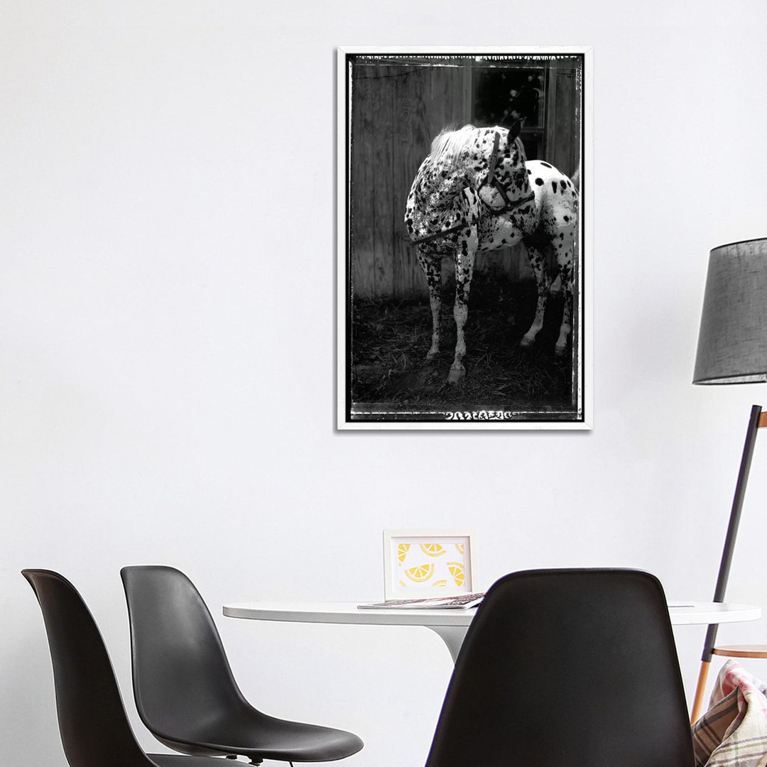 Equine Double Take II von Susan Friedman - Floater Frame Gallery-Wrapped Canvas Giclée on Canvas