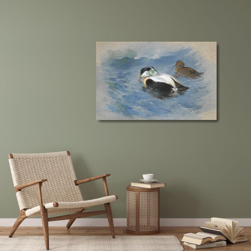 «A pair of Eider Ducks» par Archibald Thorburn - Art mural sur toile tendue avec châssis, H 28 po x l 40 po