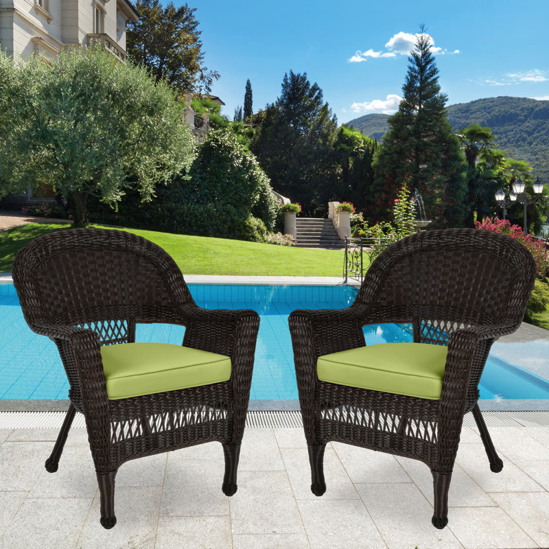 Chaise de patio avec coussins Burrowes, Vert, Espresso