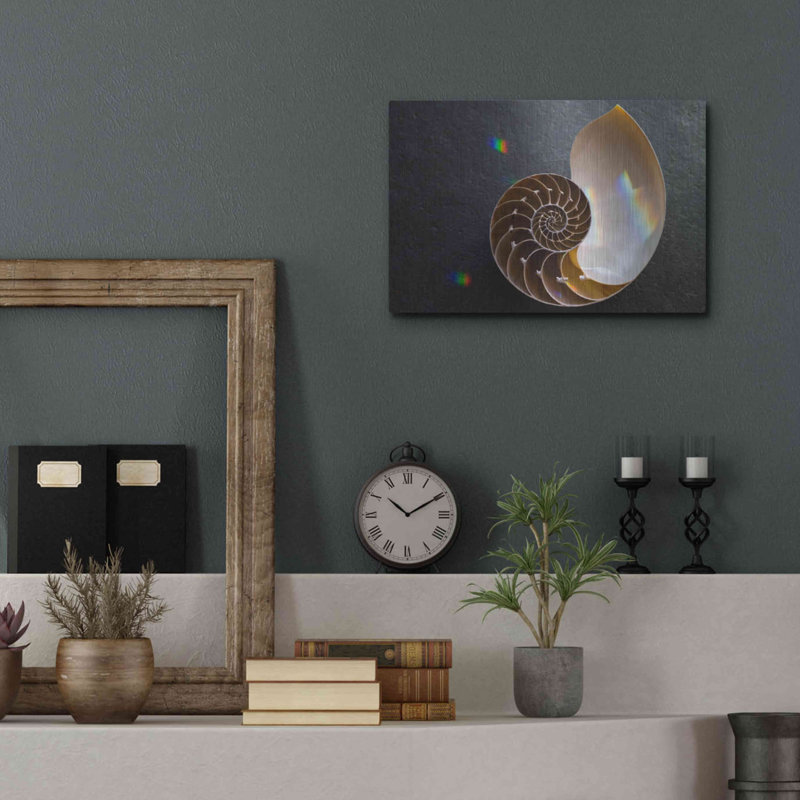 " Sacred Geometry Nautilus Shell " by Elena Ray, 12" H x 16" W