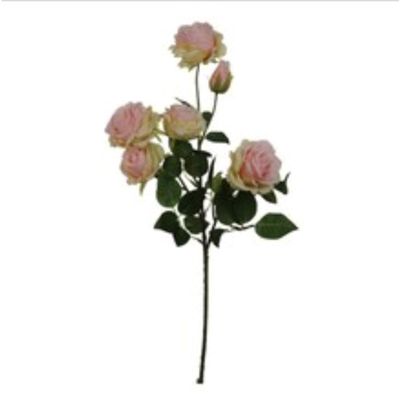 Rose 27 po - 5 fleurs et 1 bourgeon-3