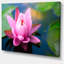 «Large Lotus Flower in the Pond», reproduction de photo sur toile tendue encadrée-63674985-63674983