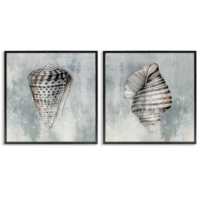  Ensemble de 2 estampes grises à motif de cauris vieillis par Eli Jones