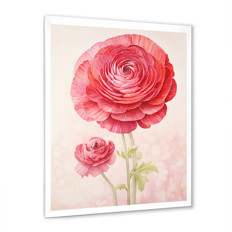 «Ranunculus Dreams I», art mural rétro sur toile, Cadre photo blanc, H 32 po x l 16 po x P 1 po